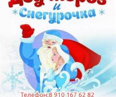 Дед Мороз и Снегурочка на дом.