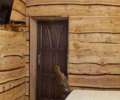 Конопатка деревянных домов и бань - 8