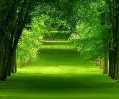 Фото монтаж и другое